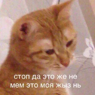 ☹️ emoji пинаю твою маму Telegram sticker 2 of 83