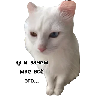 😒 emoji Actual Telegram sticker 14 of 54