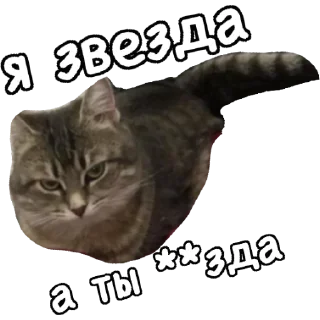 🌟 emoji Actual Telegram sticker 24 of 54