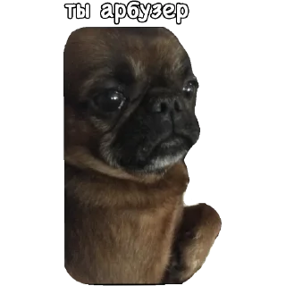Sticker from Actual