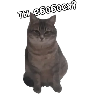 🤪 emoji Actual Telegram sticker 22 of 54