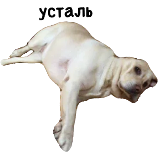 😔 emoji Actual Telegram sticker 8 of 54