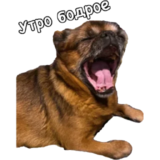 🥱 emoji Actual Telegram sticker 7 of 54