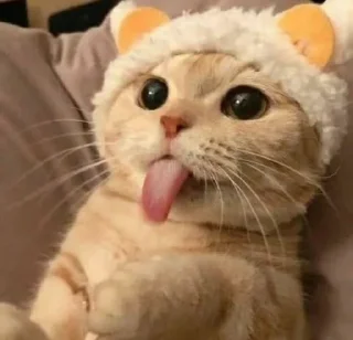 🥺 emoji sweet pussy Telegram sticker 21 of 58