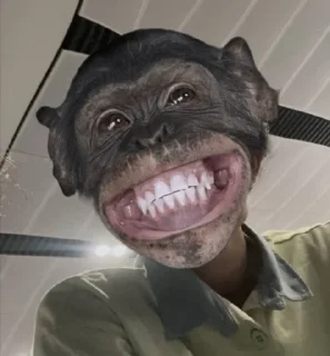 🐵 emoji aza Telegram sticker 8 of 27