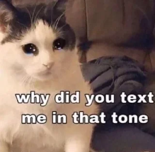 😭 emoji you don't like my aesthetic do you Telegram sticker 16 of 57