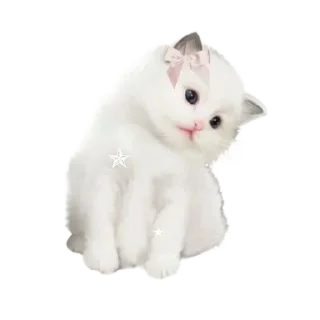 🤩 emoji Создать стикеры|@EmojiRuBot Telegram sticker 7 of 23