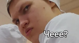 🌟 emoji Крутые бобры Telegram sticker 9 of 42
