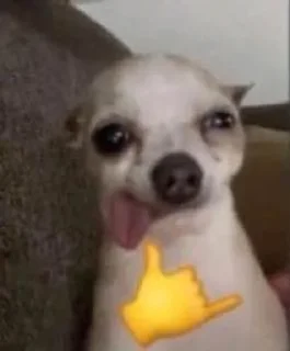 🤙 emoji Я твою маму трахал Telegram sticker 14 of 49