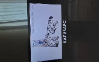Sticker from Капибари мутанти🫡