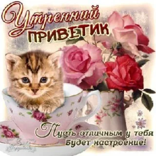 Sticker from картинки из одноклассников