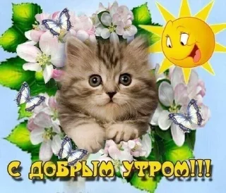 🌟 emoji картинки из одноклассников Telegram sticker 14 of 86