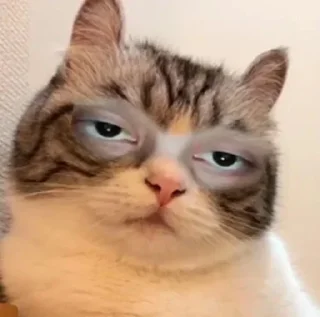 🐱 emoji хз как назвать2 🔞 Telegram sticker 17 of 120