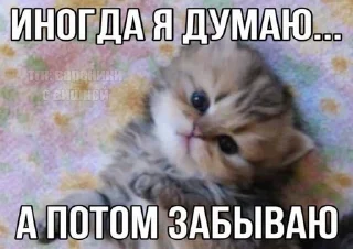 🌟 emoji снюся я Telegram sticker 19 of 120