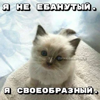 🌟 emoji снюся я Telegram sticker 22 of 120