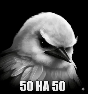 Sticker from стикеры на любой случай