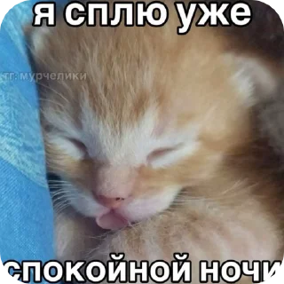 🥱 emoji пикчи с фразами Telegram sticker 12 of 28