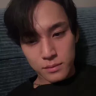 Sticker from @Vm0n7 mingyu