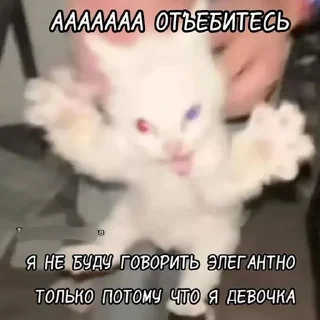 🌟 emoji Заебавшиеся коты 3 Telegram sticker 17 of 120