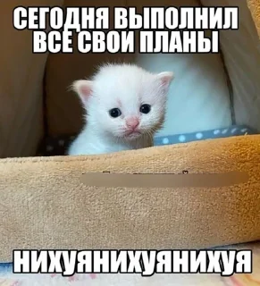 🌟 emoji Заебавшиеся коты 3 Telegram sticker 12 of 120