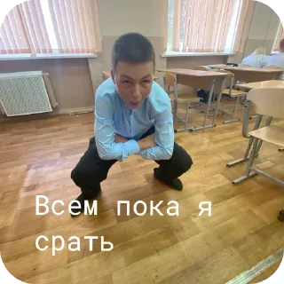 🪑 emoji 🤟🤟🤟🤟🤟🤪🤪🤪🤪 Telegram sticker 7 of 16