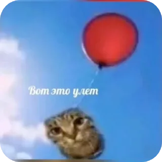 👍 emoji Tik Tok memes Telegram sticker 17 of 34