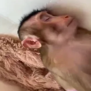 😴 emoji хз как назвать Telegram sticker 12 of 120