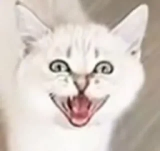 ☠ emoji kitti Telegram sticker 14 of 14