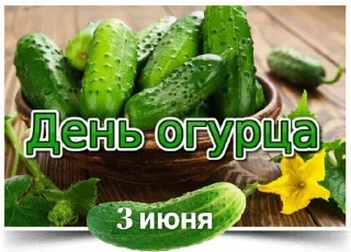 🌟 emoji Праздники Telegram sticker 24 of 82