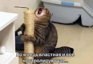 🤬 emoji мемотные Telegram sticker 6 of 44