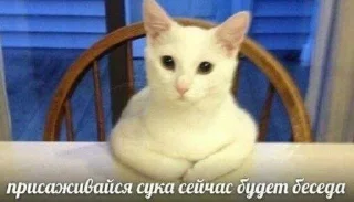 😡 emoji мемотные Telegram sticker 14 of 44
