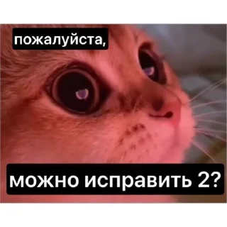 💕 emoji делаем с училкой: Telegram sticker 6 of 17
