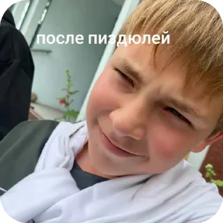 🙂 emoji Бурундуки 🦫 Telegram sticker 14 of 23