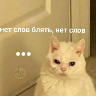 😑 emoji Хуйня Telegram sticker 13 of 26