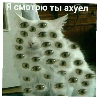 👀 emoji Хуйня Telegram sticker 21 of 26