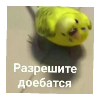 🙃 emoji Хуйня Telegram sticker 7 of 26