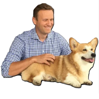 🐶 emoji НАВАЛЬНЫЙ @YARIKONISHESTICKERS Telegram sticker 13 of 27