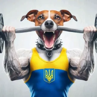 💪 emoji 🇺🇦 Пес Патроніщє Telegram sticker 7 of 22