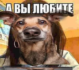 😲 emoji Пес Telegram sticker 20 of 28