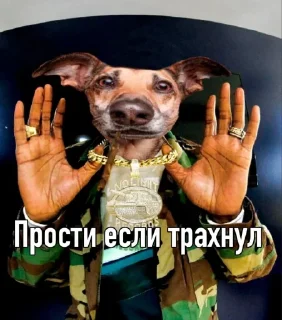 😊 emoji Пес Telegram sticker 7 of 28