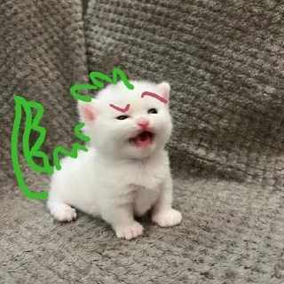 🦖 emoji kotiki Telegram sticker 11 of 42
