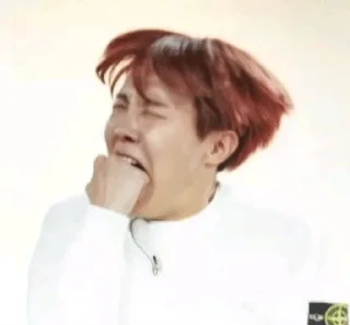 😫 emoji bangtan Telegram sticker 19 of 51