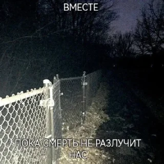🌹 emoji 🌹Депрессивные мемы/суицидальны Telegram sticker 8 of 70