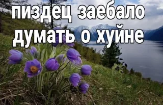 🌟 emoji 🌹Депрессивные мемы/суицидальны Telegram sticker 1 of 70