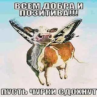 😊 emoji дауны | обновлен 29.06.26 Telegram sticker 8 of 120