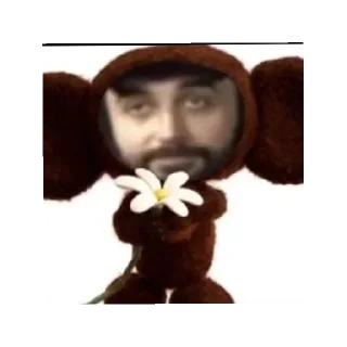 😄 emoji Эра даунов Telegram sticker 12 of 61
