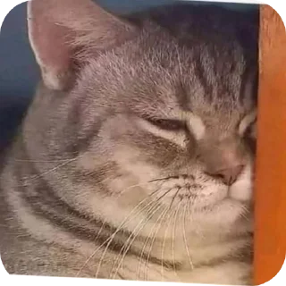 😔 emoji Nyashkavkusnyashka Telegram sticker 16 of 52
