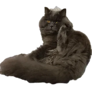 Sticker from Крутышки