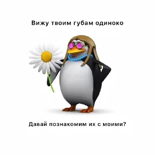 🌟 emoji пингвин @lightnine Telegram sticker 8 of 59