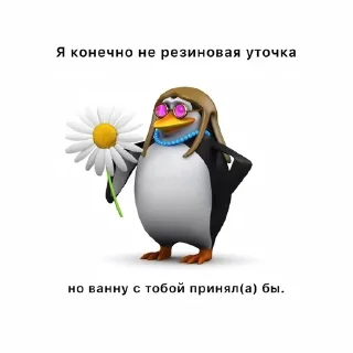 🌟 emoji пингвин @lightnine Telegram sticker 11 of 59